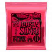ERNIE BALL 2226