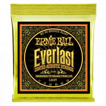 Струны для акустической гитары ERNIE BALL 2558