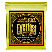 ERNIE BALL 2560