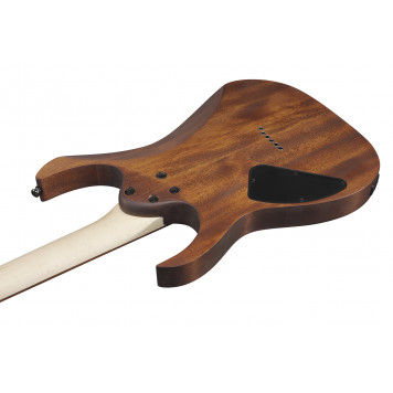 Электрогитара IBANEZ RG421-MOL-1