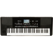 KORG PA300