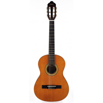 Классическая гитара VALENCIA VC203